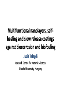 S7_J Telegdi Multifunctional nanolayers, self-healing and slow release coatings 14 05 2021.pdf