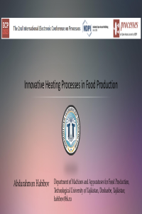 Habibov Presentation.pdf