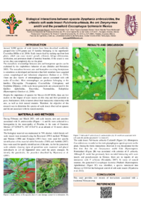 Biological interactions between epazote Dysphania ambrosioides.pdf