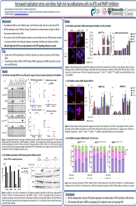 sciforum-041449.pdf