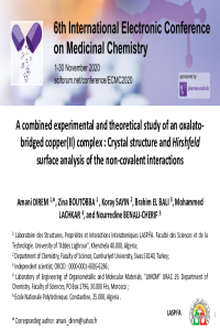 Direm-Presentation-ECMC6.pdf