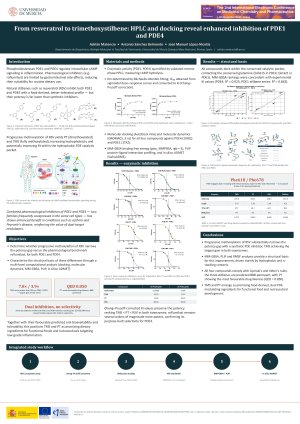 V2_Poster_A0_PDE1_PDE4_TMS_1.pdf