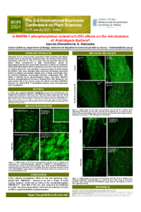 IECPS 2024 Adamakis.pdf
