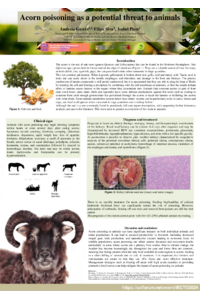 2024_toxins acorn.pdf