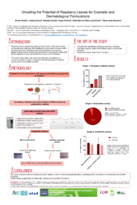 ECM Poster framboesa Bruna.pdf