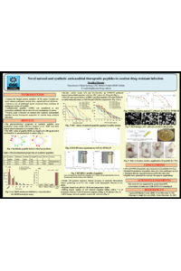 Conference Poster.pdf
