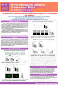 The Role of HIF-1 in manganese-induced premature aging and nerve damage in C. elegans.pdf