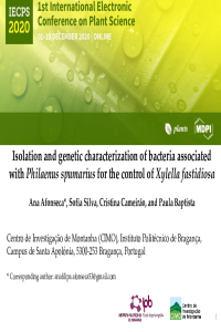 Afonseca Econference.pdf