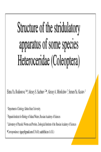 Pre [sciforum-047339]-Ropdionova et al.pdf