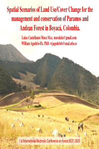 Presentation iecf2020 CastellanosMora AgudeloHz.pdf