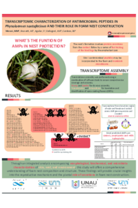 Marani_Poster_AMP_L.santafecinum.pdf