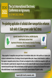 presentation.pdf