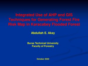 Fire_AHP_AE.Akay_presentation.pdf