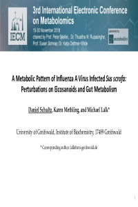 IECM_Schultz.pdf