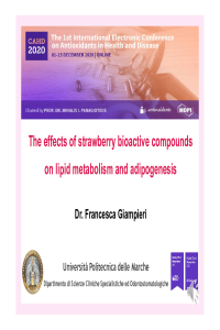 Francesca Giampieri_FINAL.pdf