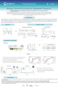 sciforum-139324 Poster-IOCPS2025.pdf