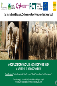 ppt_Lamb_PDF.pdf