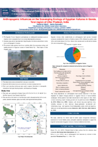 poster mdpi.pdf