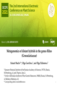 IECPS_PP.pdf