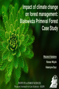Bialowieza-Kedziora,Wojcik,Szyc.pdf