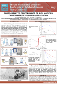 Poster ECCS 2025 Ada Montilla.pdf