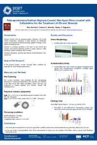 Poster_Elina Marinho.pdf