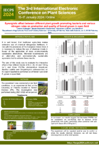 Poster Vultaggio Lorena.pdf