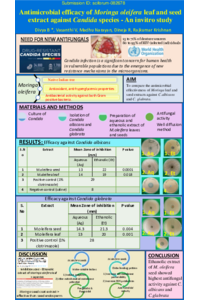poster.pdf