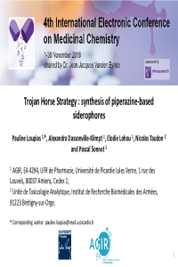 presentation-Loupias-electronic conference-2018.pdf