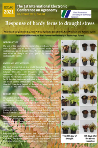 poster pdf.pdf
