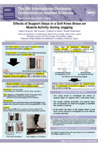 ASEC2025_knee_brace_poster_v2.pdf
