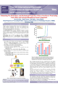 ASECposter.pdf