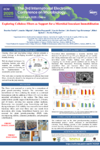 Poster ECM 2025_BF.pdf