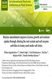 Plants Egamberdieva.pdf