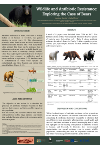 poster_ABbear.pdf