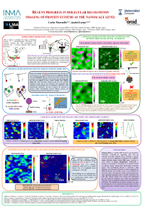 Poster MRI Biomolecules Congress_FINAL.pdf