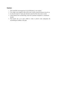 Highlights.pdf