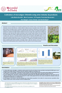 sciforum_037321_presentation.pdf