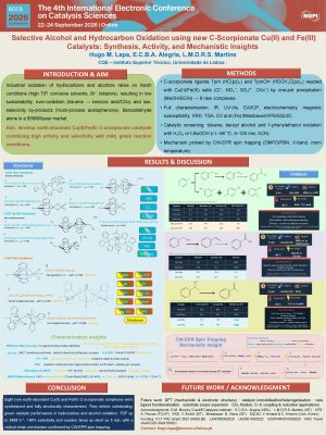 Poster_hugoLapa.pdf