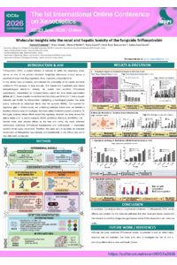 Poster IOCXE 2026.pdf