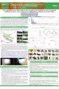 Sal and  Ban oak moth Poster Electric Conf.pdf
