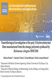 Presentation_Pustan Marius.pdf