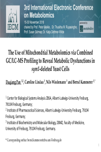 IECM-3_Pan et al..pdf