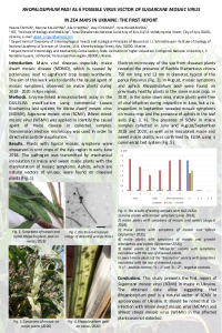 Snigur et al., 2021_R.padi_SCMV.pdf